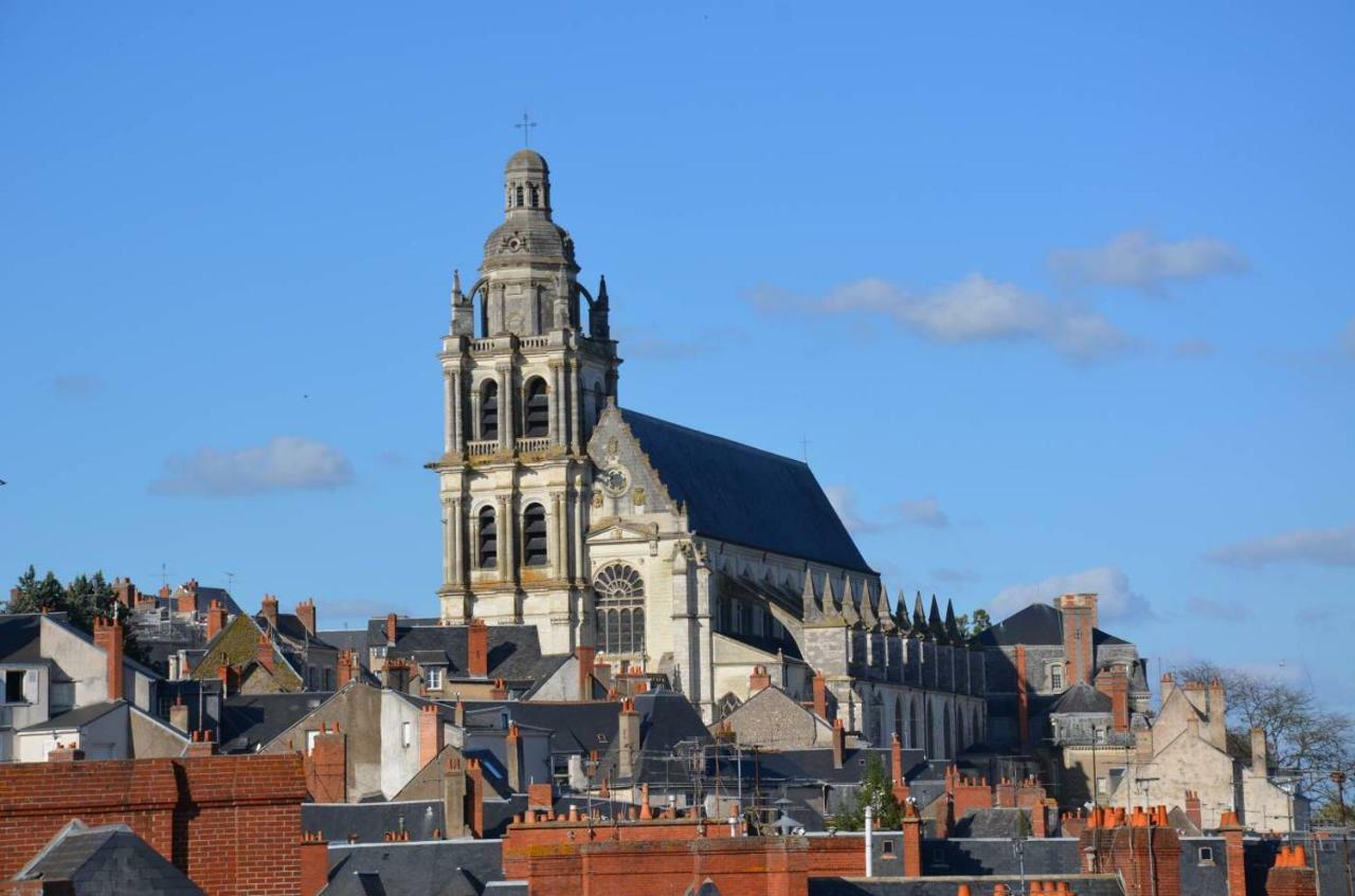 Appartement Le Rive Gauche Blois Luaran gambar